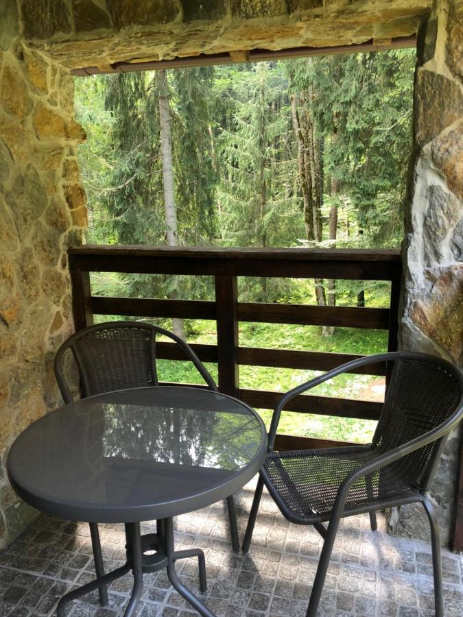 Cabana Zimbru Transfagarasan 아레푸 외부 사진
