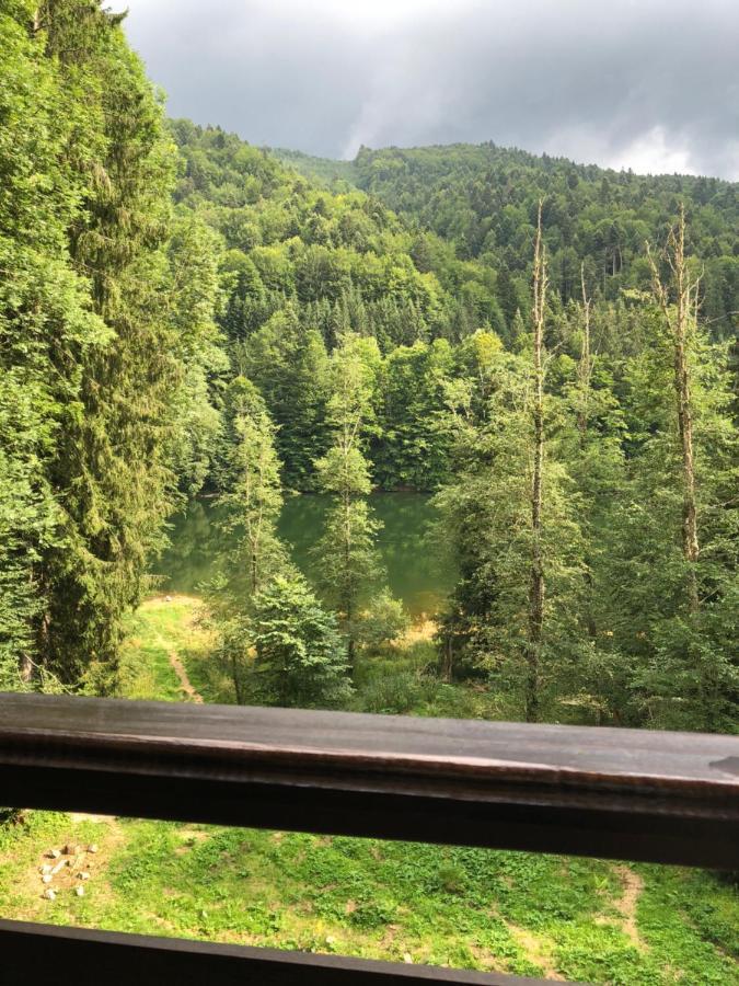 Cabana Zimbru Transfagarasan 아레푸 외부 사진