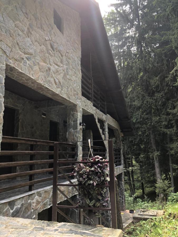 Cabana Zimbru Transfagarasan 아레푸 외부 사진