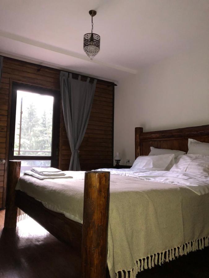 Cabana Zimbru Transfagarasan 아레푸 외부 사진