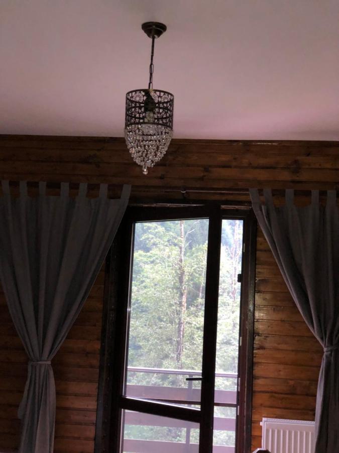 Cabana Zimbru Transfagarasan 아레푸 외부 사진