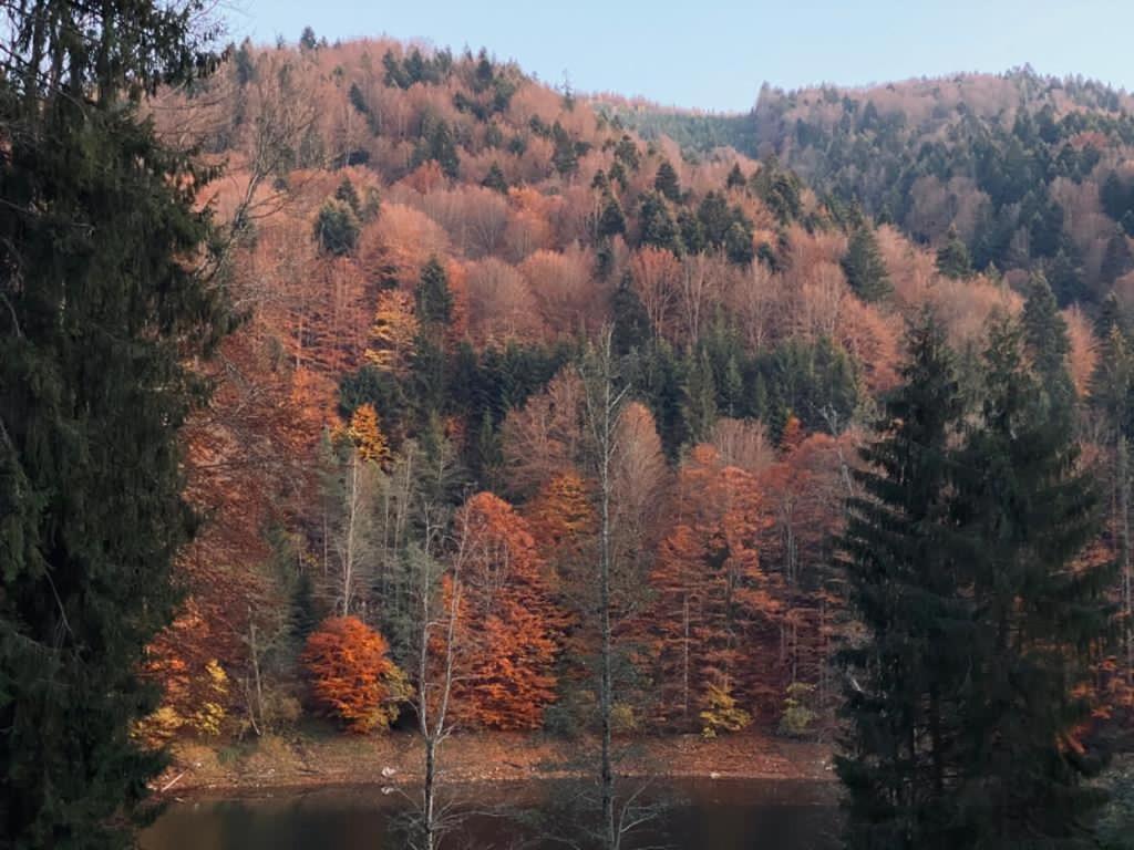 Cabana Zimbru Transfagarasan 아레푸 외부 사진
