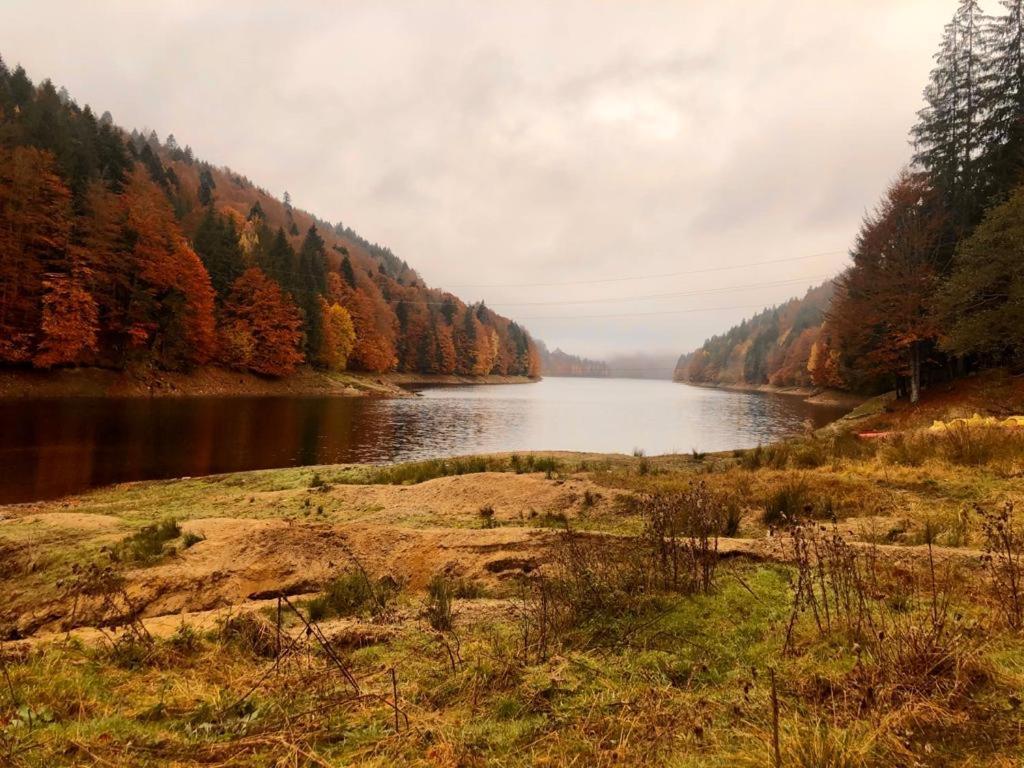 Cabana Zimbru Transfagarasan 아레푸 외부 사진