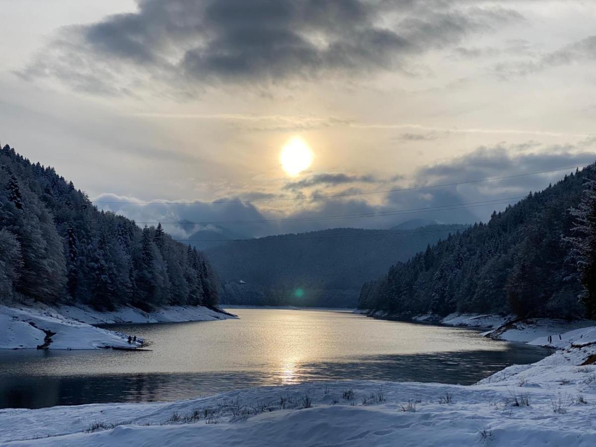 Cabana Zimbru Transfagarasan 아레푸 외부 사진