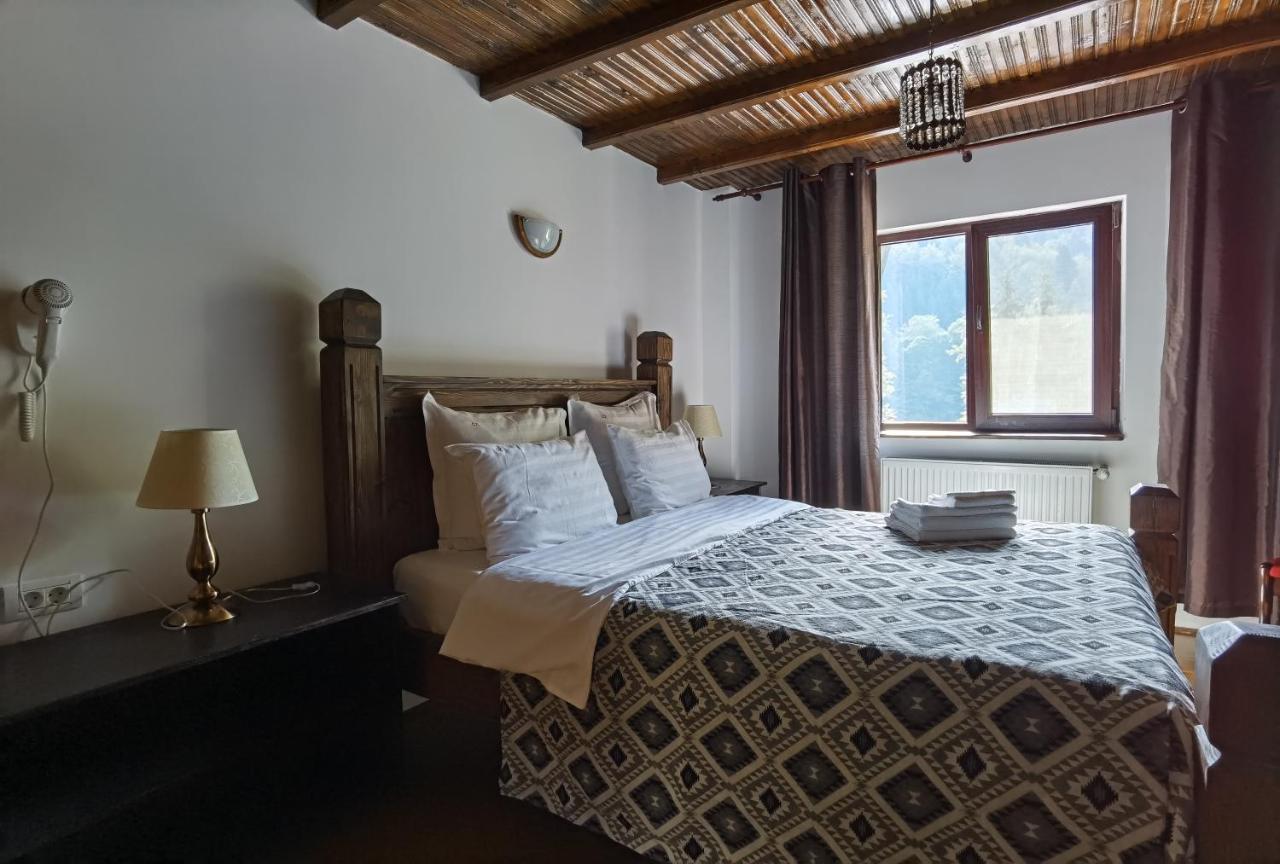 Cabana Zimbru Transfagarasan 아레푸 외부 사진
