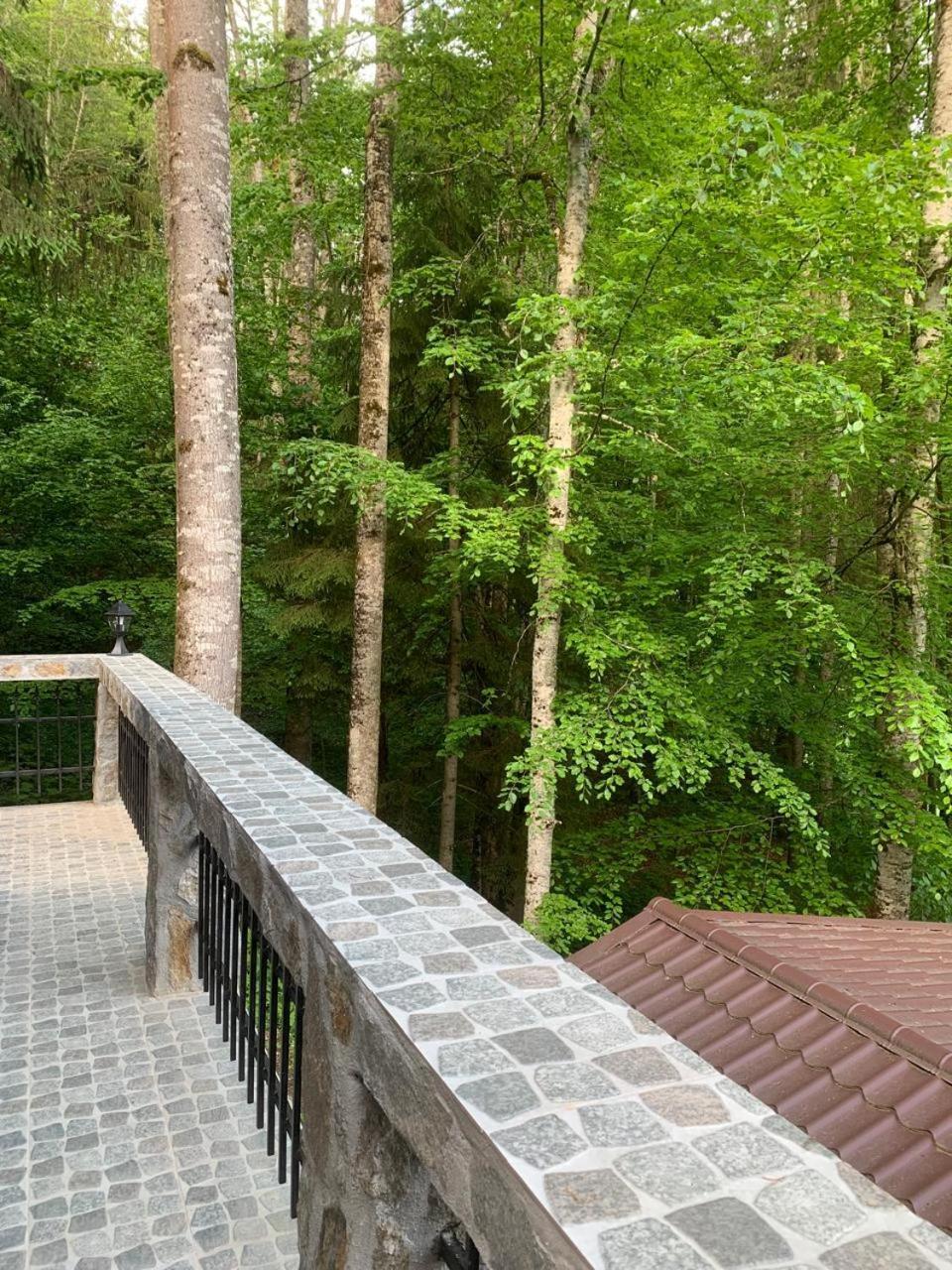 Cabana Zimbru Transfagarasan 아레푸 외부 사진