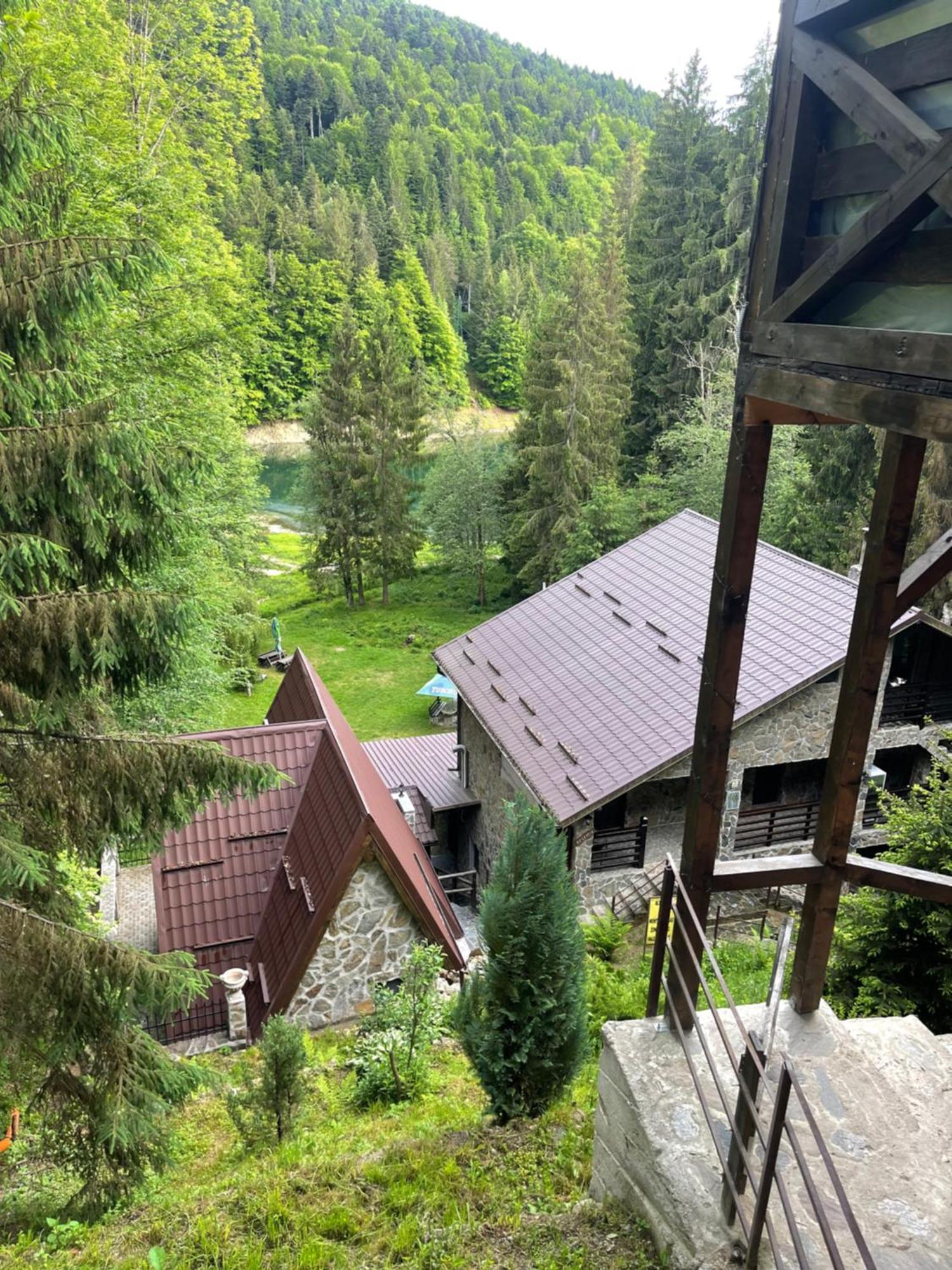 Cabana Zimbru Transfagarasan 아레푸 외부 사진
