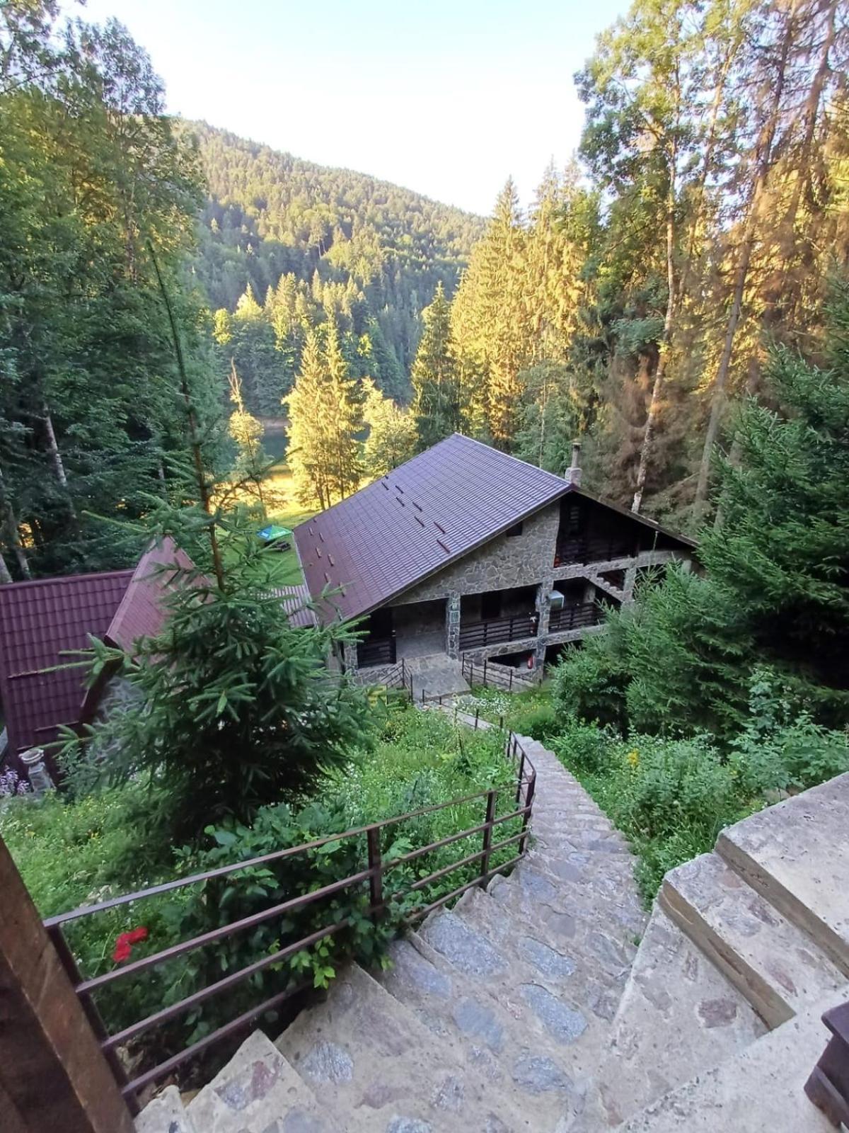 Cabana Zimbru Transfagarasan 아레푸 외부 사진