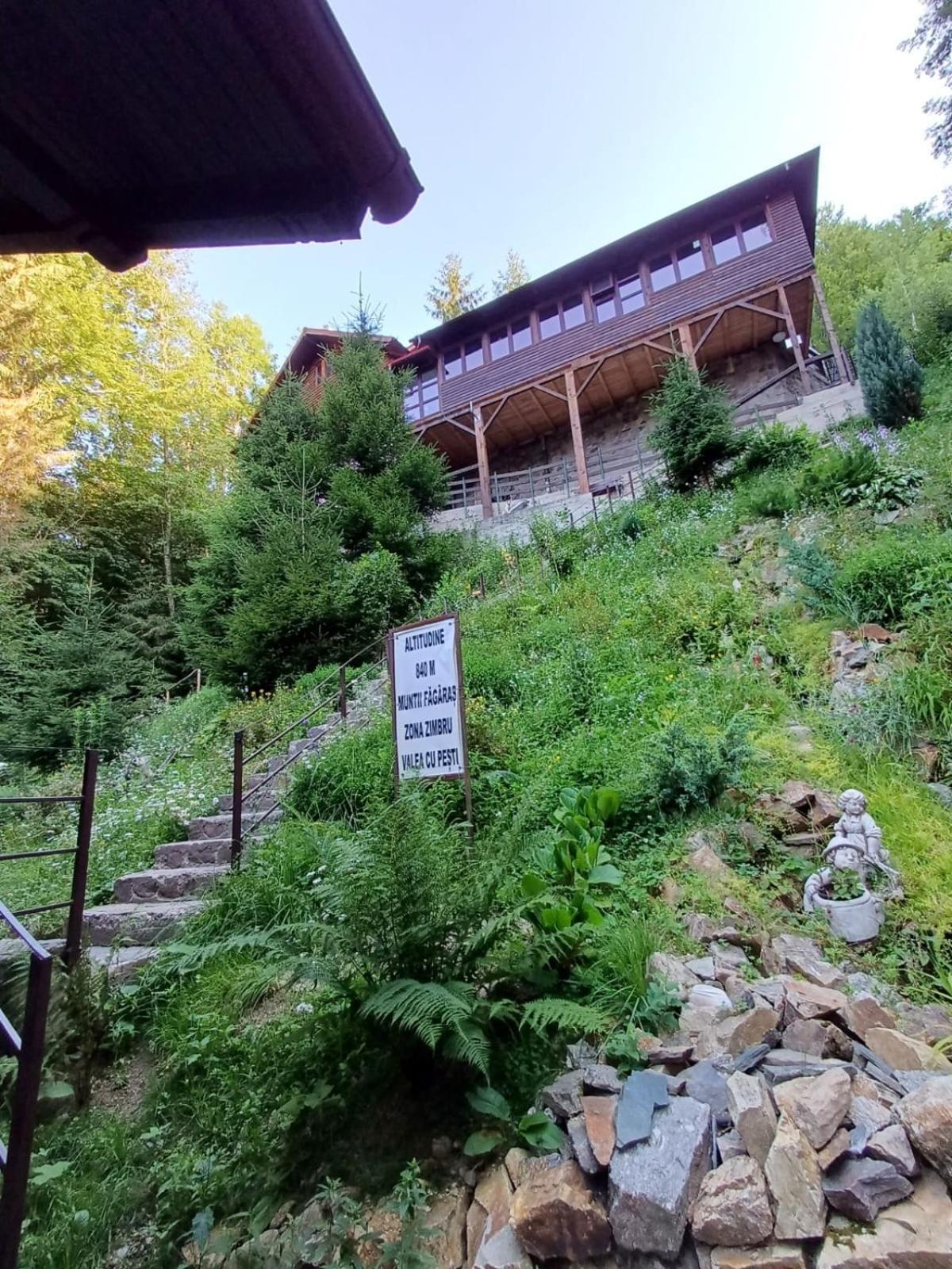 Cabana Zimbru Transfagarasan 아레푸 외부 사진