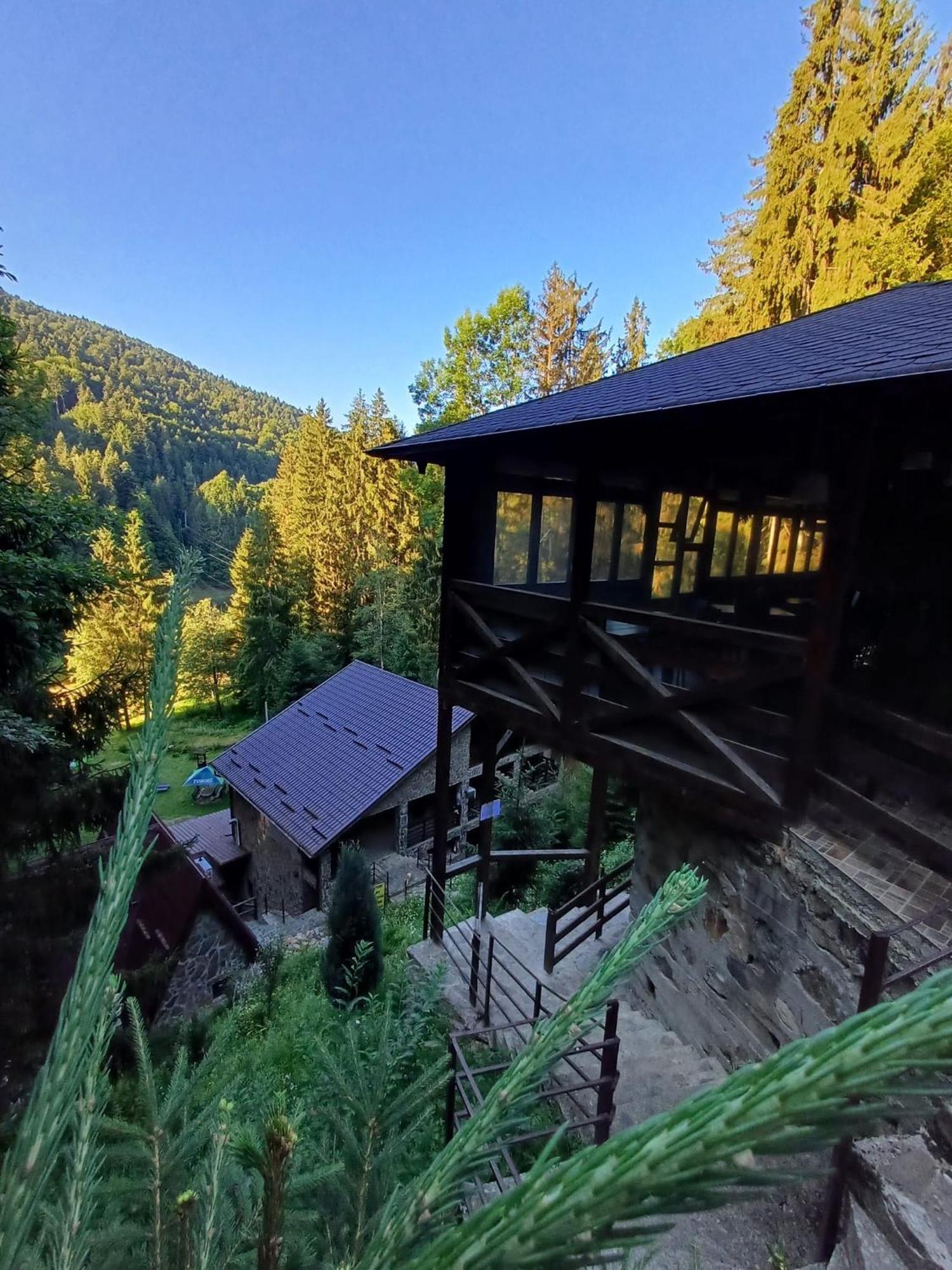 Cabana Zimbru Transfagarasan 아레푸 외부 사진